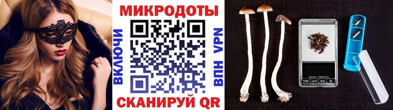 Галлюциногенные грибы ЛСД  как найти   Чегем 
